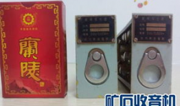 国产精品入,匠心独运，引领时代潮流的青春成长记